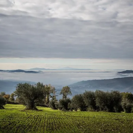 Borgo Colognola - Dimora Storica Casa rural Cenerente